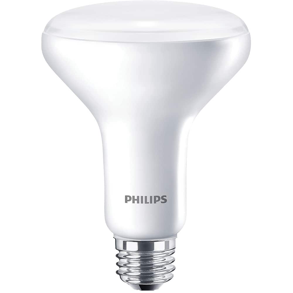 naar voren gebracht Verdrag Inspireren Philips - Fluorescent Flood & Spot Lamp: 7.2 Watts, BR30, Medium Screw Base  - 15938970 - MSC Industrial Supply