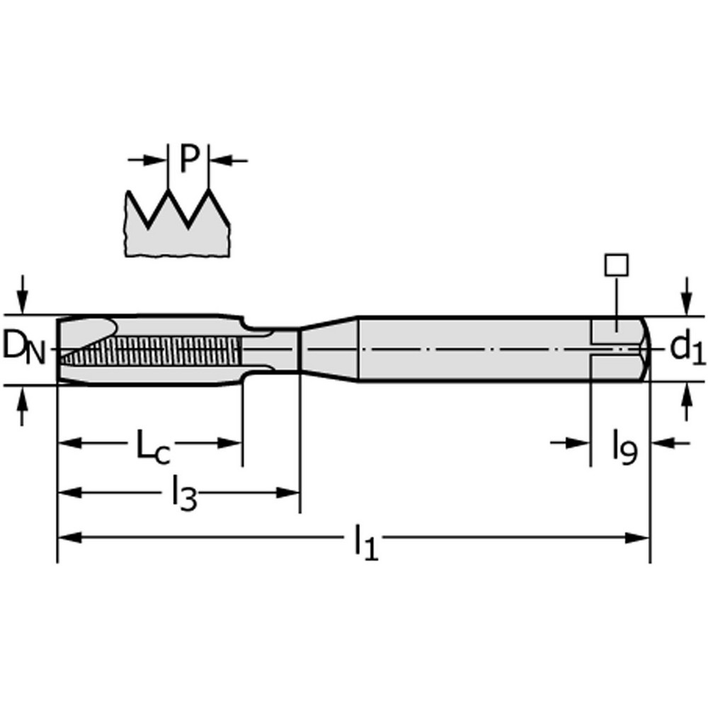 WalterPrototyp Spiral Point Tap M1.6x0.35 Metric, 2 Flutes, Plug