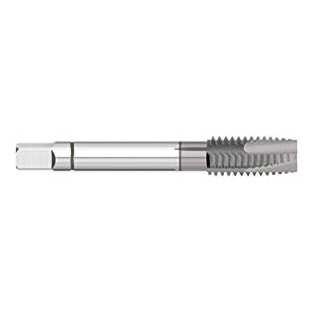 Overall Length 2-1/8 TiN High Speed Steel UNF Pack of 5 GREENFIELD THREADING Spiral Point Tap Thread Size #8-36 