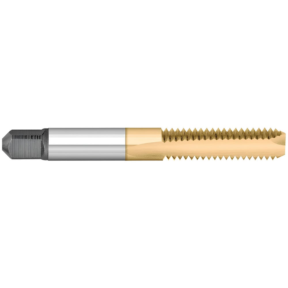 Machine Tap Spiral Point HSS Blue - Lamberts Website