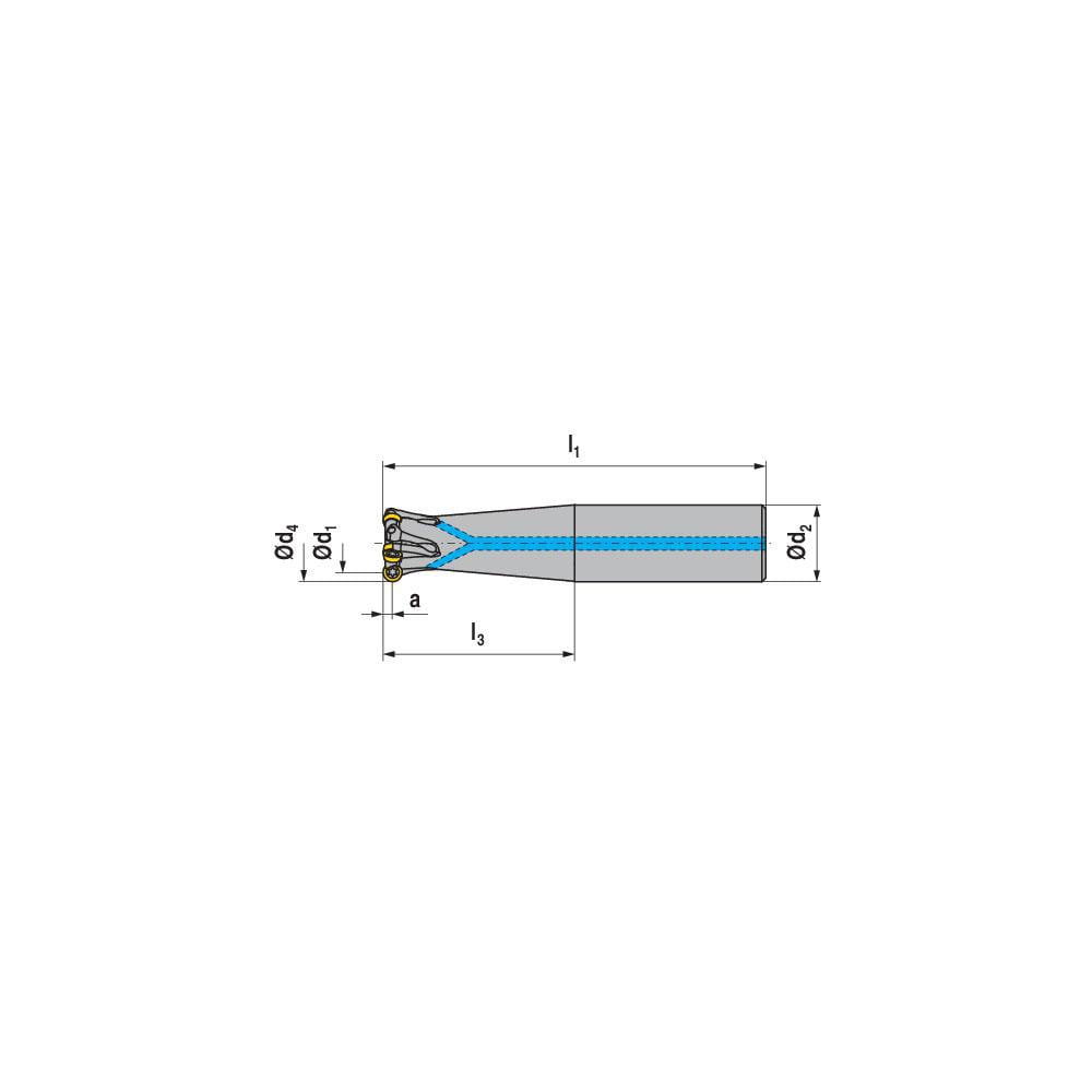 Ceratizit Indexable Ball Nose End Mill Mm Cut Dia Solid Carbide