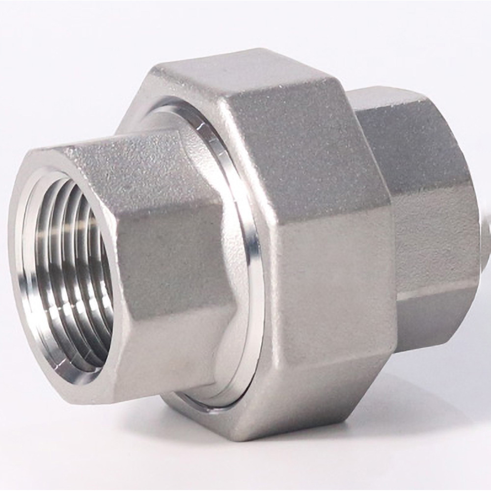 Guardian Worldwide Pipe Fitting 1/8" Fitting, 304 Stainless Steel