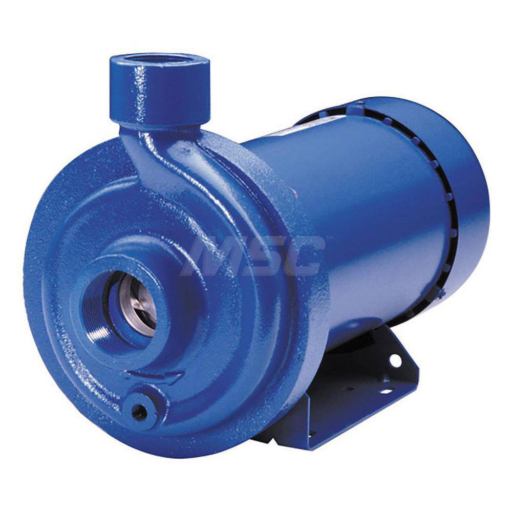 AC Straight Pump: 115/230V, 7.6/4-3.8A, 1/2 hp, 1 Phase, Cast Iron Housing, 316 Stainless Steel Impeller