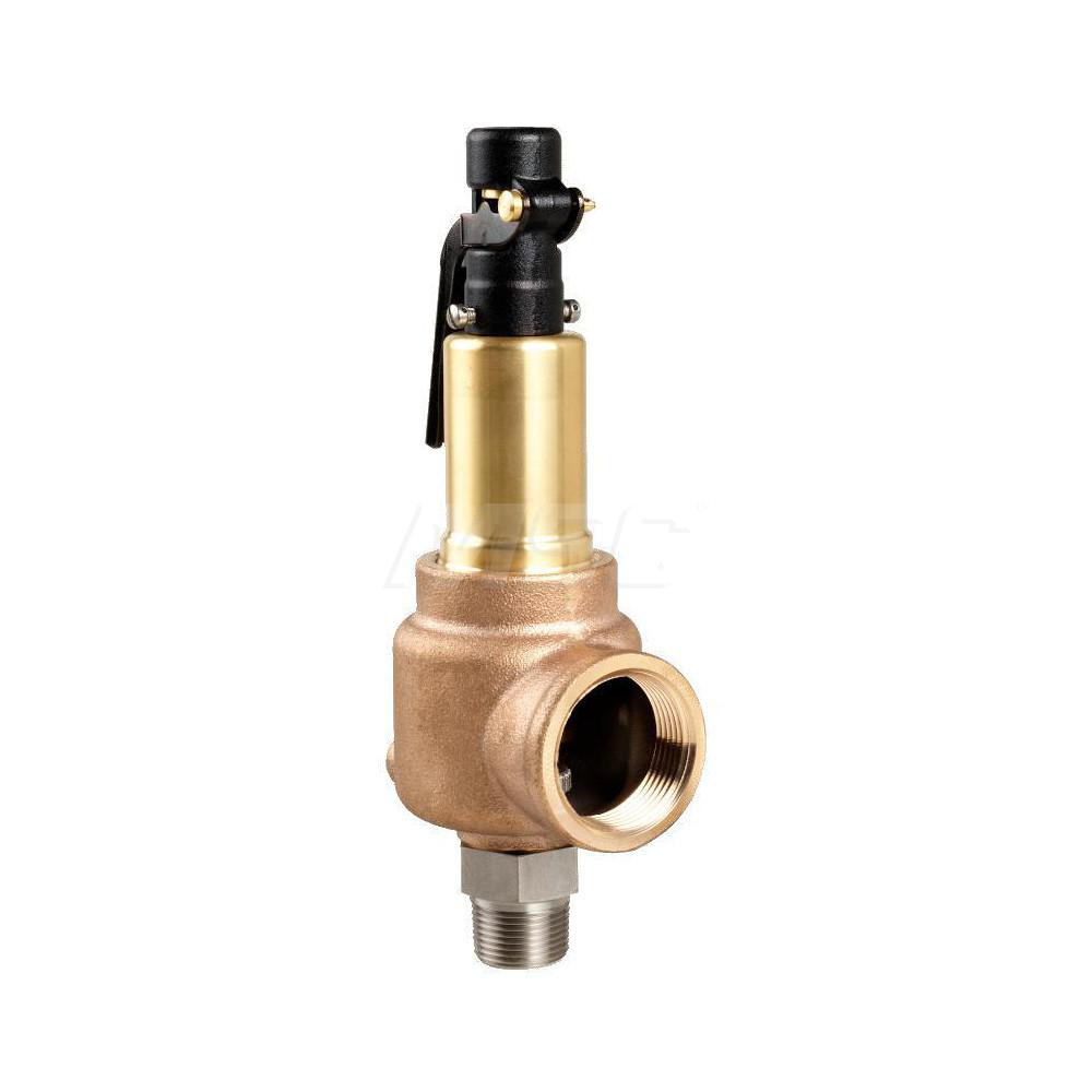 Air & Gas Relief Valve: 1" Inlet, 420 CFM, 1,500 Max psi - MNPT x FNPT, 425 ° F