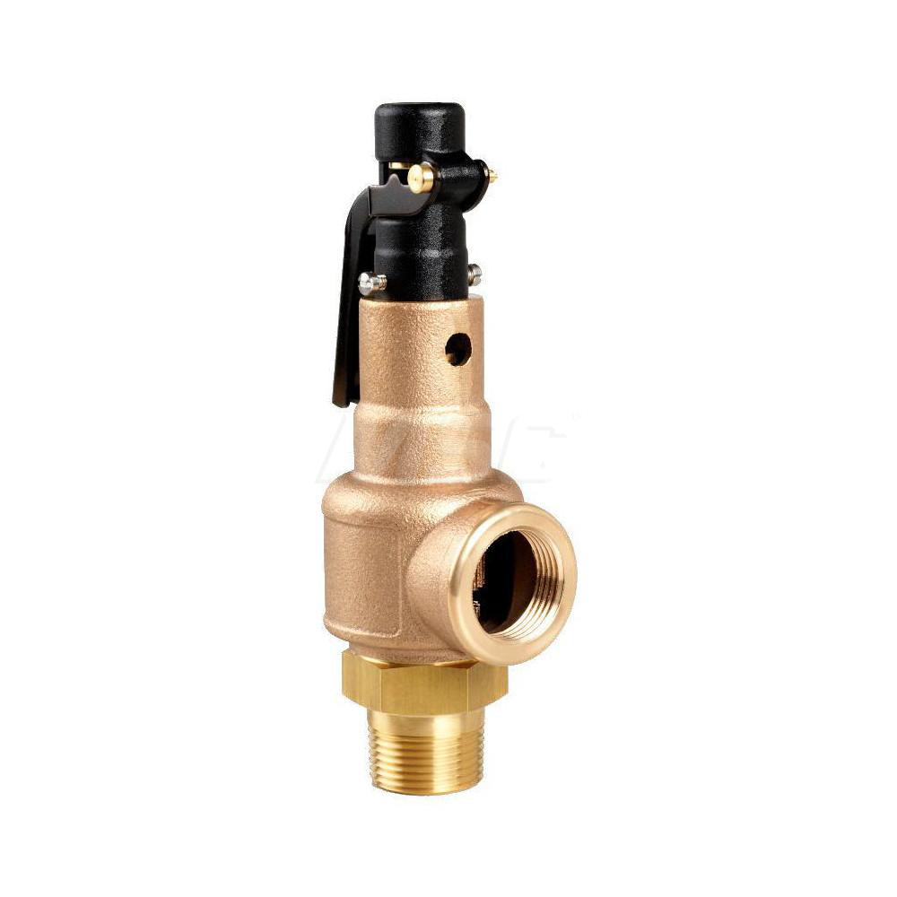 Steam Relief Valve: 3/4" Inlet, 180.6 CFM, 250 Max psi - MNPT x FNPT, 406 ° F