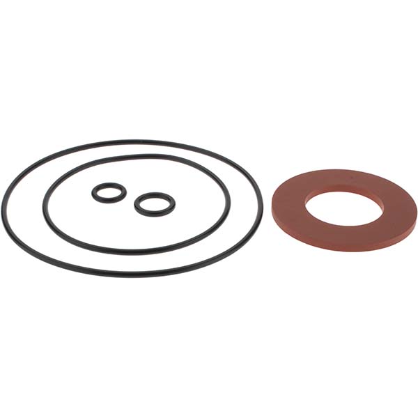 Backflow Repair Kit