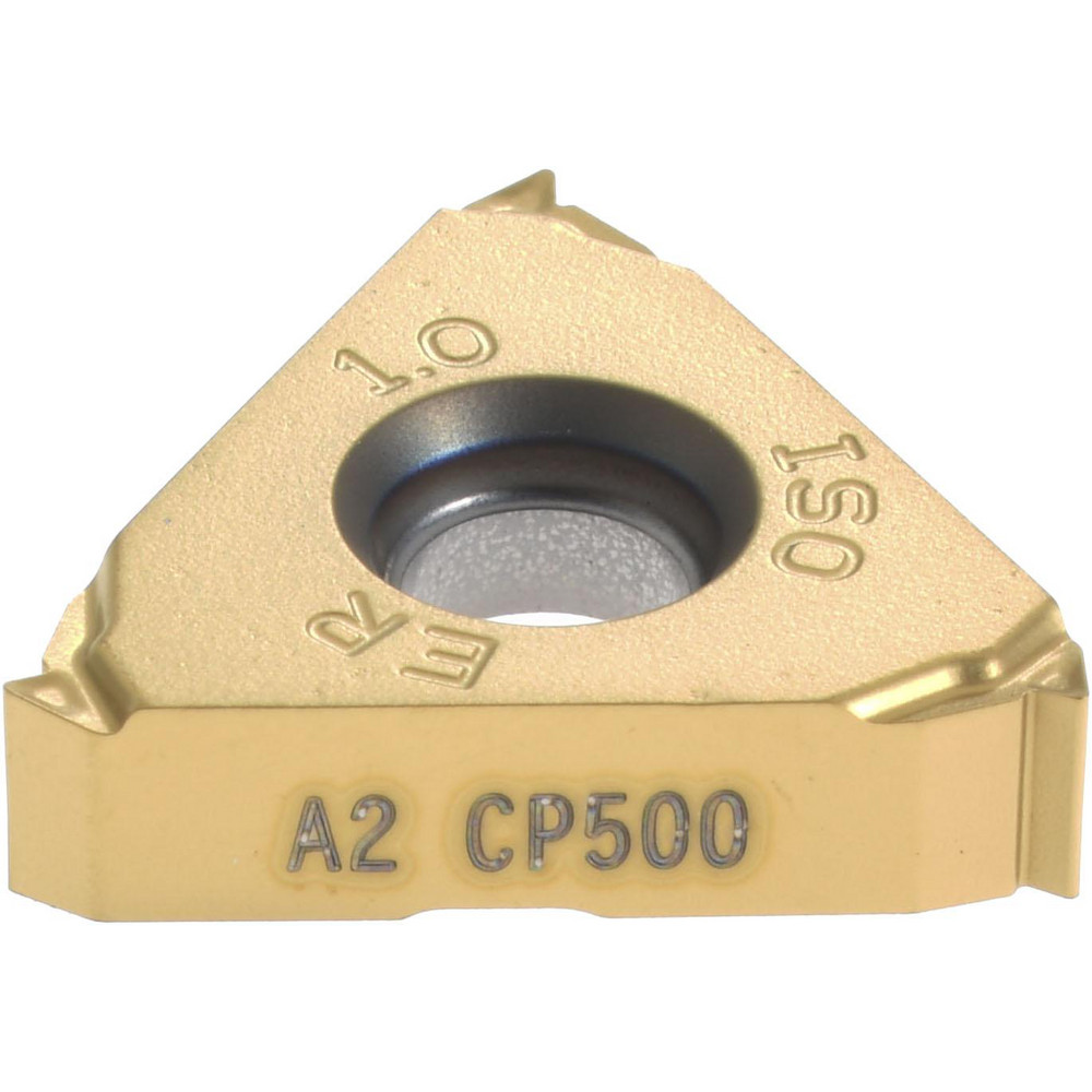 Laydown Threading Insert: 16ER1.0ISO-A2 CP500, Solid Carbide