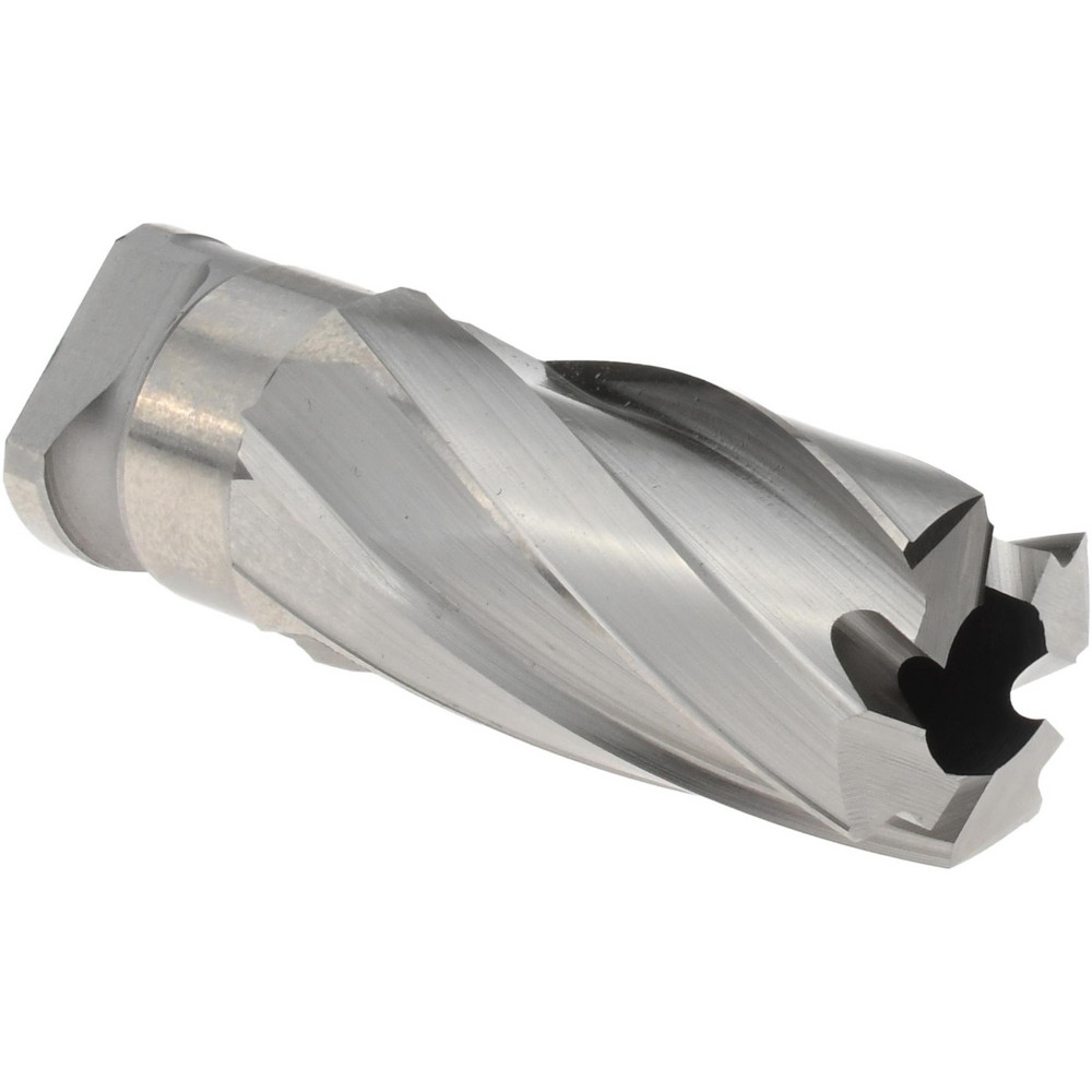 howaitomann  166mm Amazon.com : Watchman W206 EDC Fixed Blade Knife 14C28N Blade