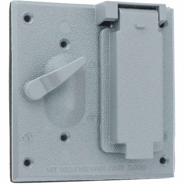 Leviton WM2SD-GY Device Electrical Box Cover: Zinc 