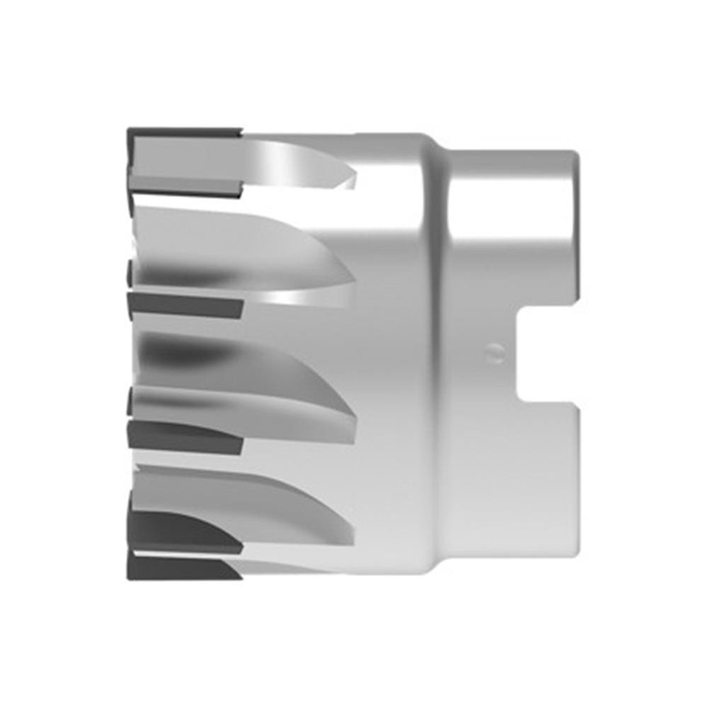 WNT - Shell End Mill: 50.00 mm Dia, 22.00 mm Arbor Hole, 12 Flute, High ...