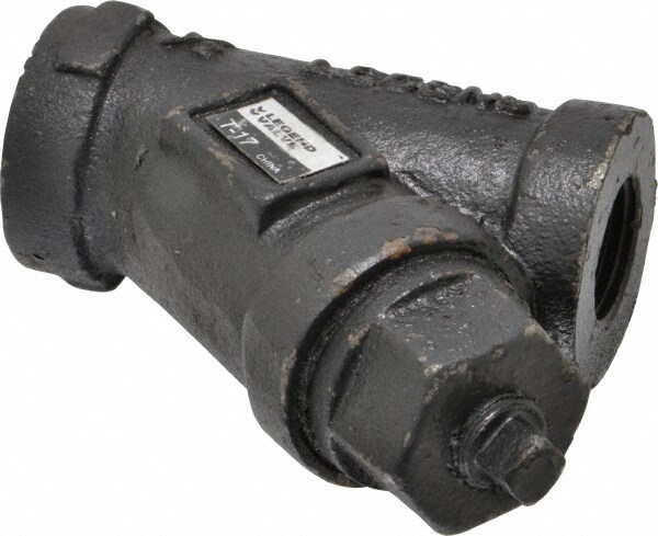 1/2" Pipe, FNPT Ends, Cast Iron Y-Strainer