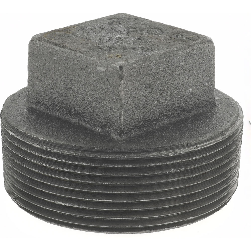 Black Square Plug: 2", Threaded