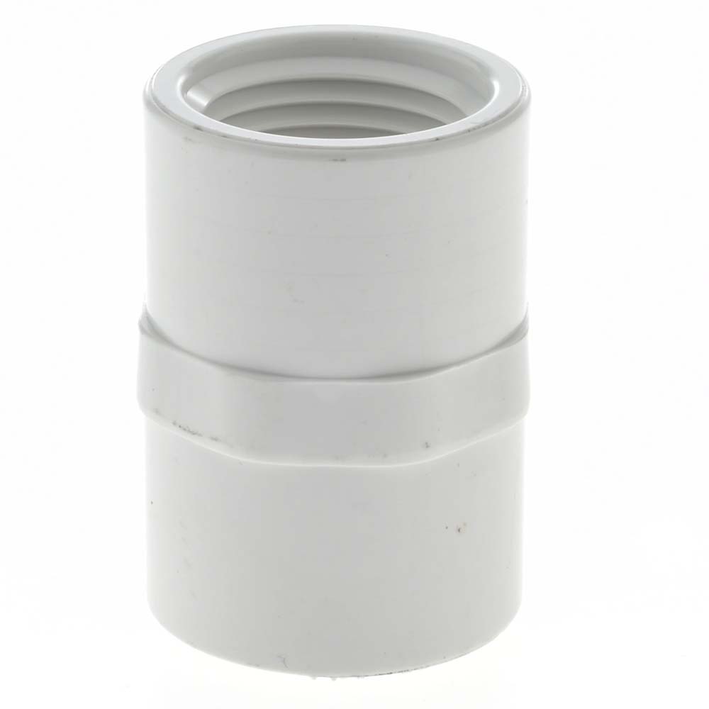 Value Collection 1/2" PVC Plastic Pipe Female Adapter 36999258