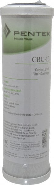 Pentair 155162-43 Plumbing Cartridge Filter: 2-7/8" OD, 9-3/4" Long, 0.5 micron, Carbon Briquette 