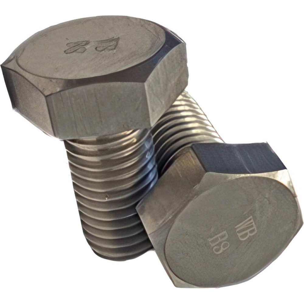 BinifiMux 1/4 X 3 Inch Hex Cap Head Lag Screws – 25-Pack, Grade 18-8 Stainless Steel, Heavy-Duty Fasteners With Storage Box