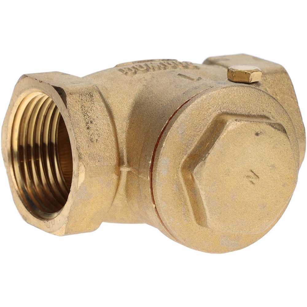 Value Collection 4965302316JP Check Valve: 1" Pipe Image