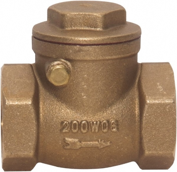 Value Collection 4965302416JP Check Valve: 1-1/4" Pipe Image