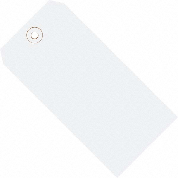 Value Collection Blank Tag: 8'' High, White, Synthetic Paper - White Cardstock