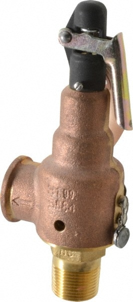 Midwest Control 6010DD-150 ASME Safety Relief Valve: 3/4" Inlet, 350 CFM, 150 Max psi Image