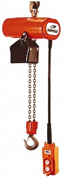 Electric Chain Hoist: 250 lb Working Load Limit