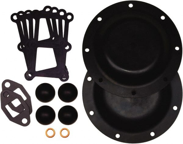 Diaphragm Pump Fluid Section Repair Kit: Buna-N, Includes Check Balls, Diaphragms & Gasket, Use with SB1