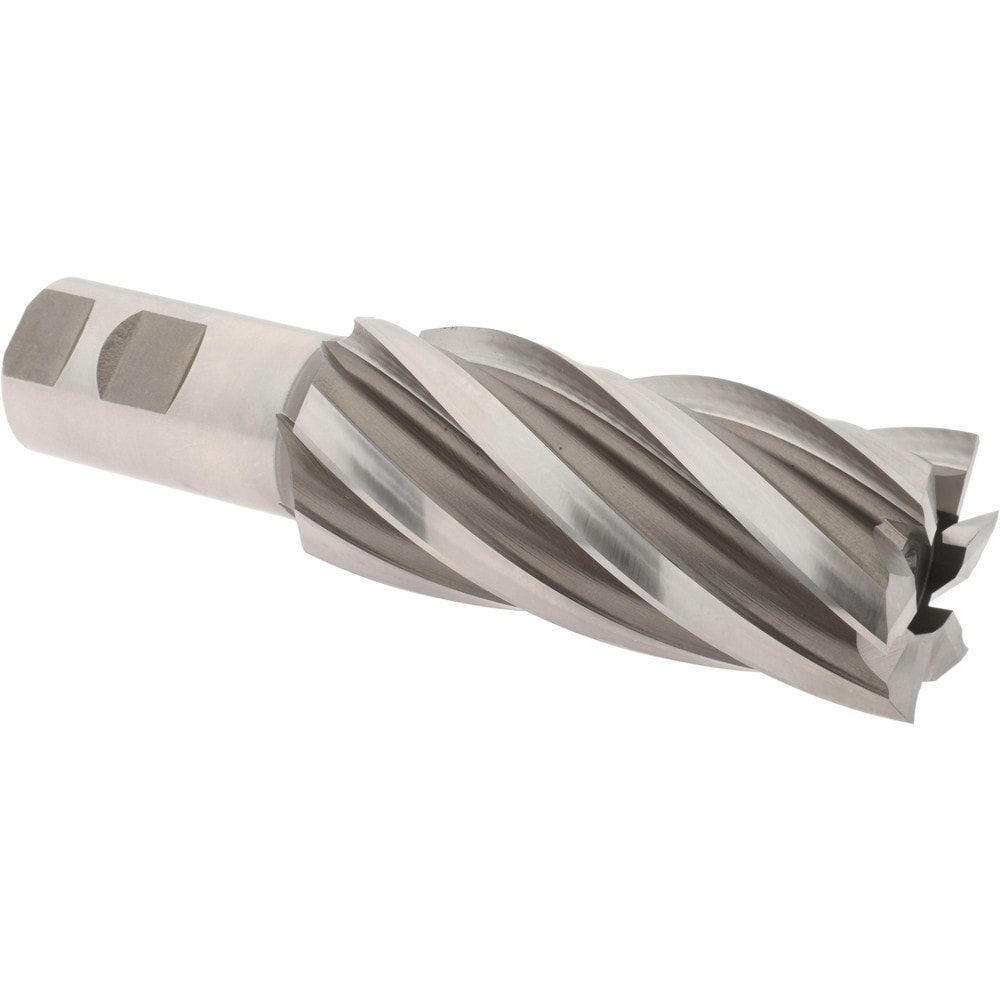 Hertel E1035148 Square End Mill: 1-3/4 Dia, 4 LOC, 1-1/4 Shank Dia, 6-1/2 OAL, 6 Flutes, High Speed Steel Image