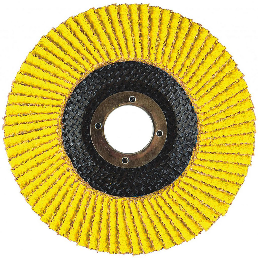ami9622　0804 Sait - Flap Disc: 4-1/2