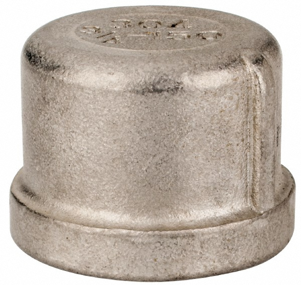 Merit Brass Pipe End Cap 3/4" Fitting, 304 Stainless Steel MSC Direct