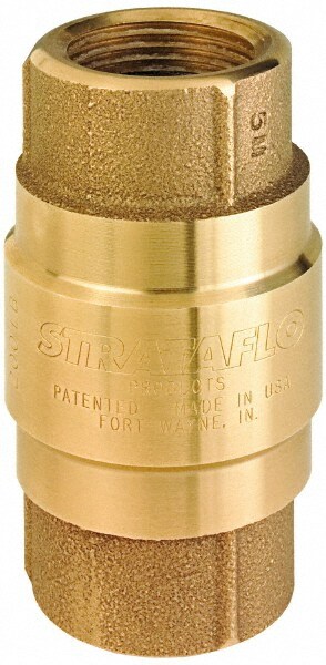 Check Valve: 2-1/2" Pipe