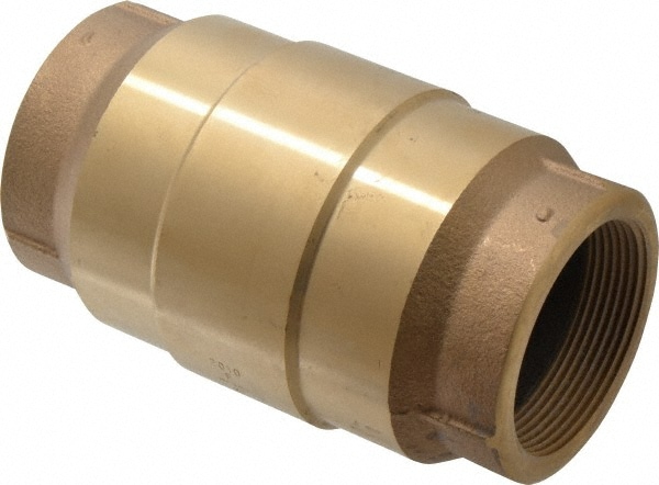 Check Valve: 2" Pipe