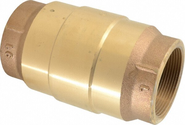 Check Valve: 2" Pipe