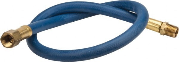 Lead-In Whip Hose: 1/4" ID, 2'
