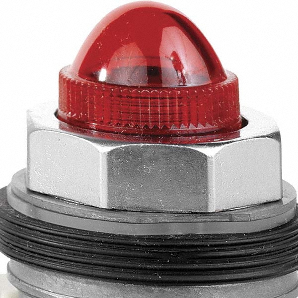 Schneider Electric 24 V Red Lens Incandescent Pilot Light 49955701