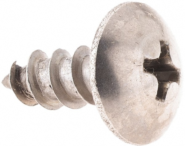 Sheet Metal Screw: #10, Truss Head, Phillips