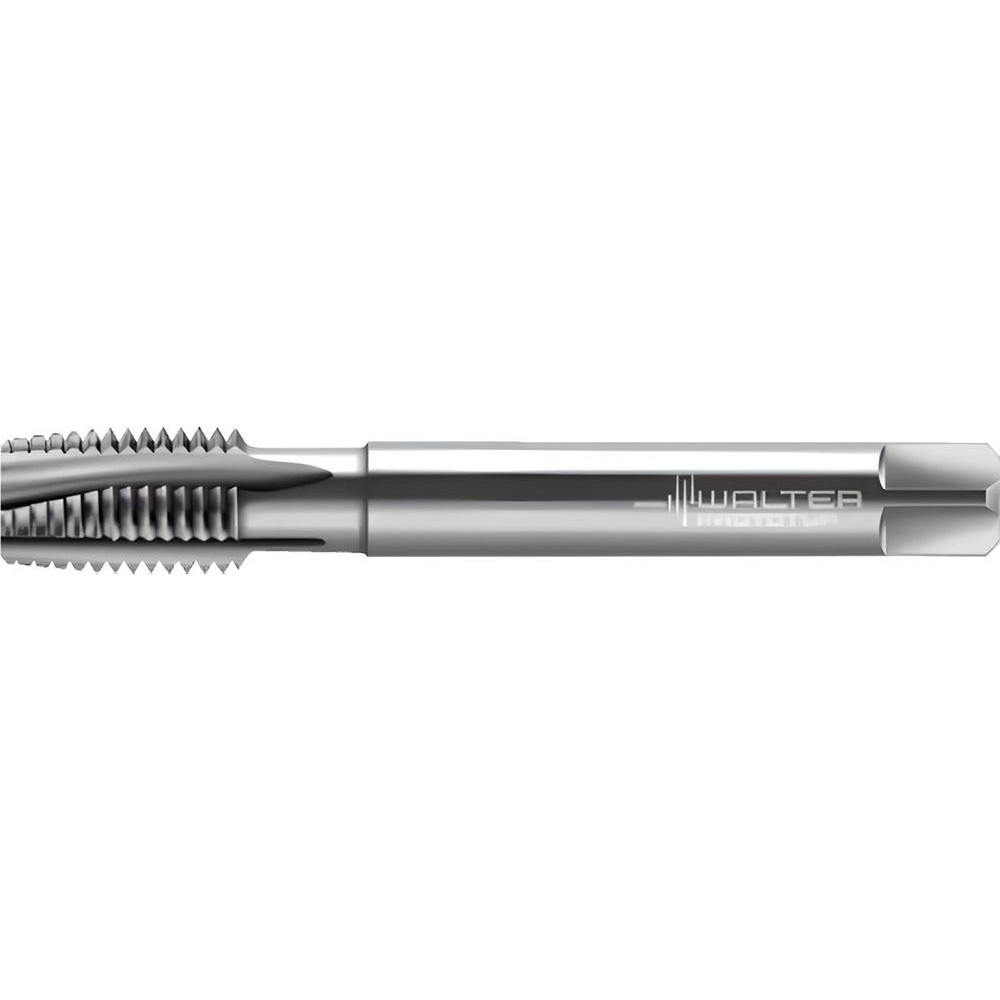 Walter Prototyp 1-8 3B HSS-E Plug Tap With 4 Spiral Flutes - UNC Thread