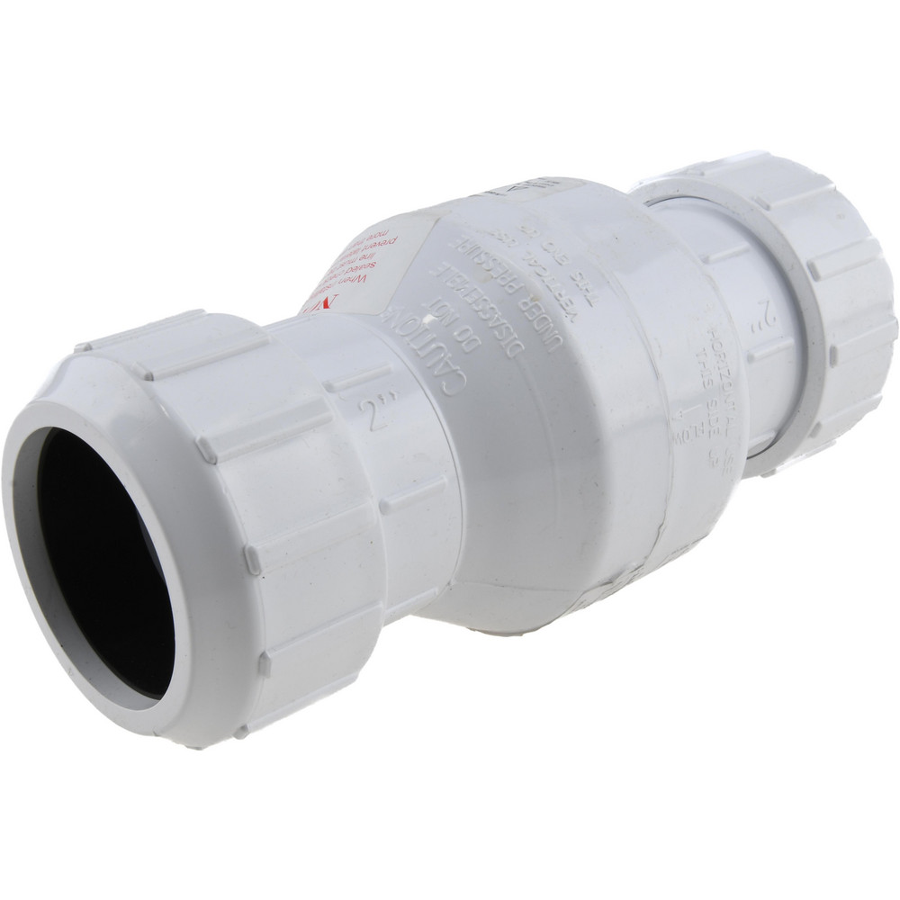 Check Valve: 2" Pipe