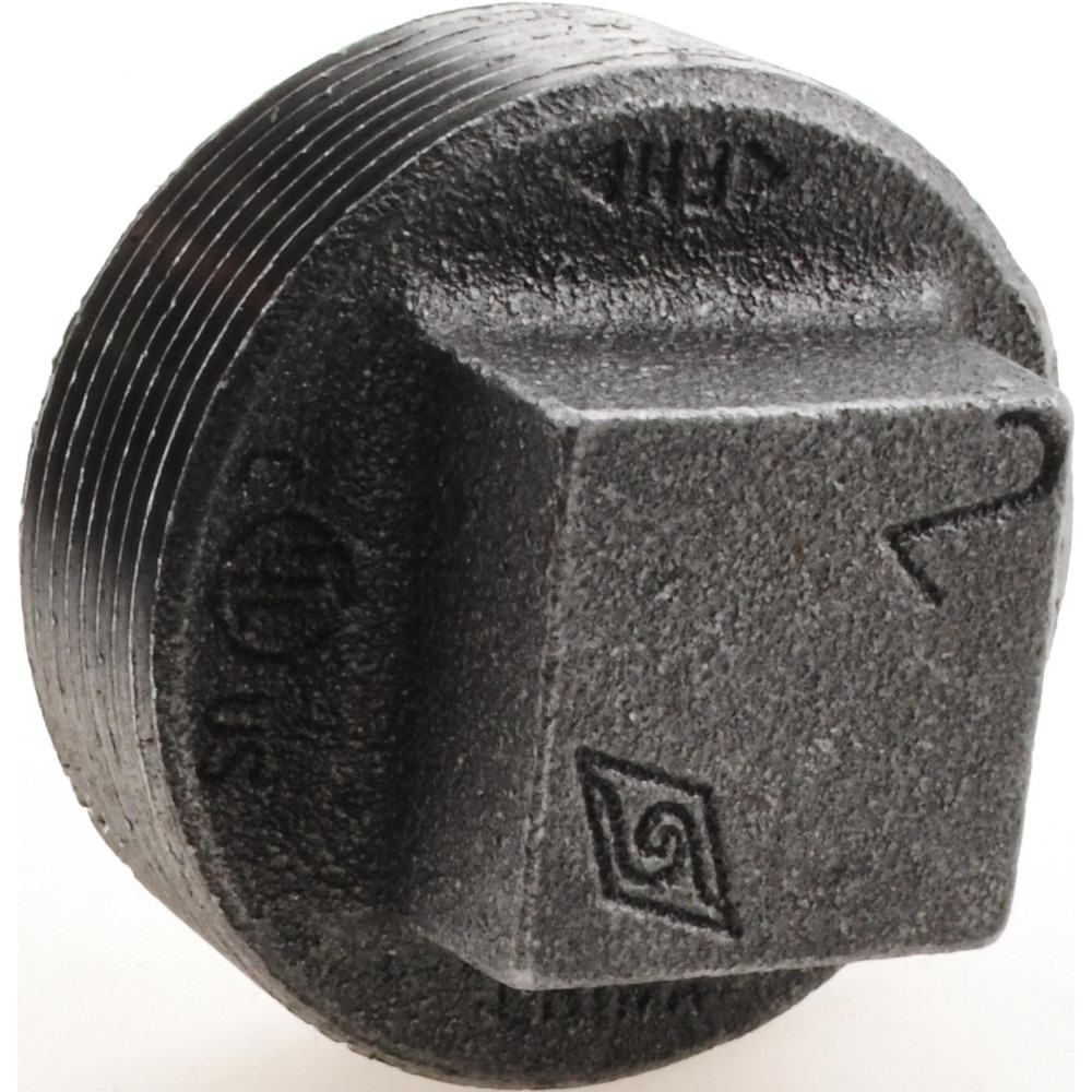 Black Square Plug: 2", Threaded