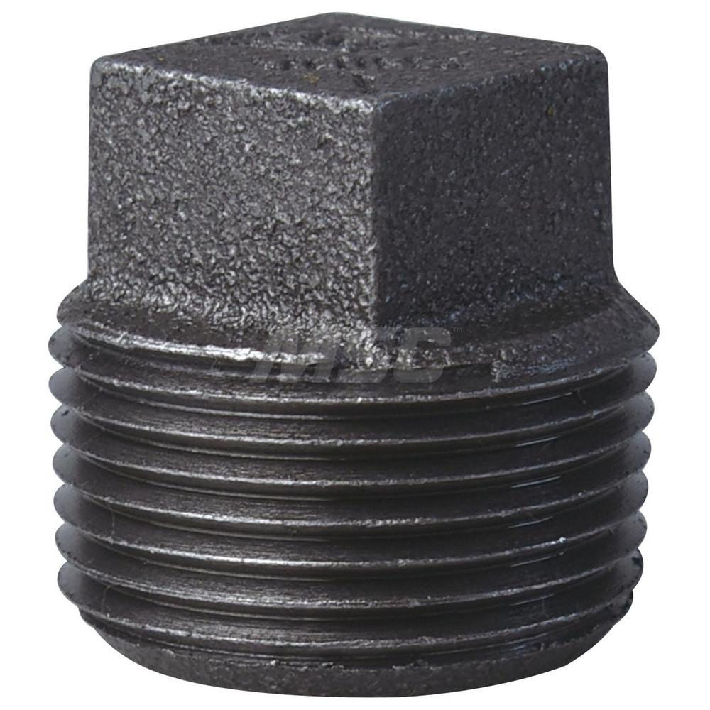 Black 1 Inch Pipe Plug 