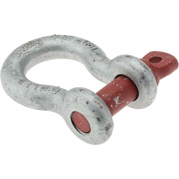 Anchor Shackle: Screw Pin