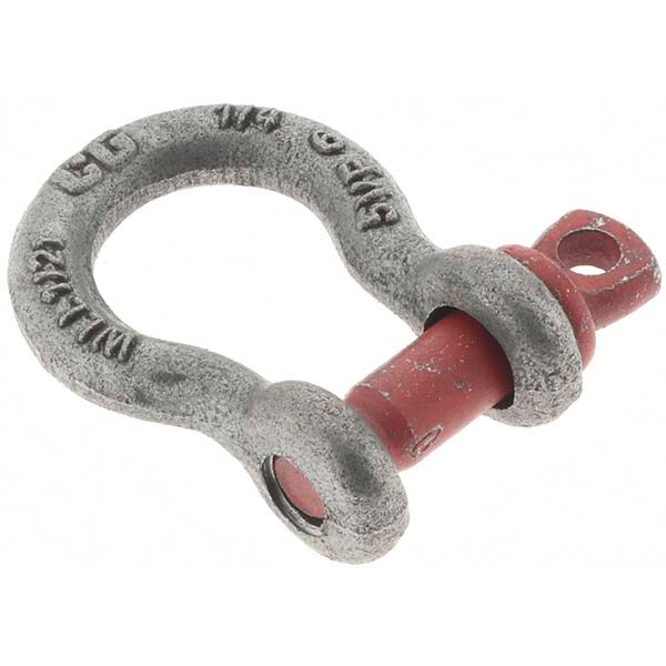 Anchor Shackle: Screw Pin