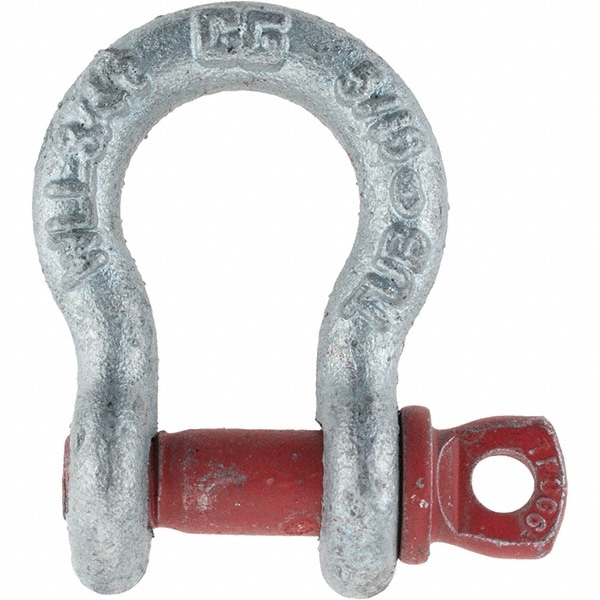 Anchor Shackle: Screw Pin