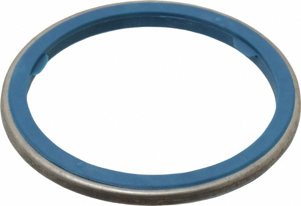 Stainless Steel Sealing Gasket for 2" Conduit