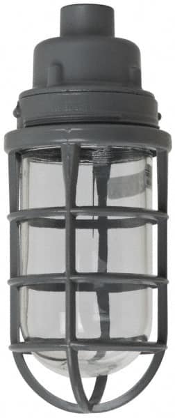 Hazardous Location Light Fixtures; Resistance Features: Corrosion Resistant; Heat Resistant ; Recommended Environment: Dirt Laden Locations; Wet Locations ; Lamp Type: Incandescent ; Mounting Type: Pendant Mount ; Wattage: 150 ; Housing Material: Aluminum