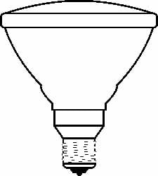 Halogen Lamp: PAR38, 60 W, Medium Screw Base