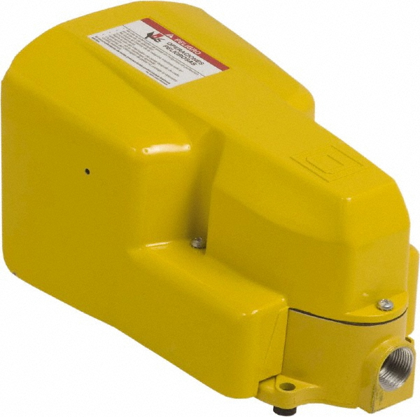 Square D 2 Treadles, 5 Amp, Momentary (MO), SPDT, Electric Foot