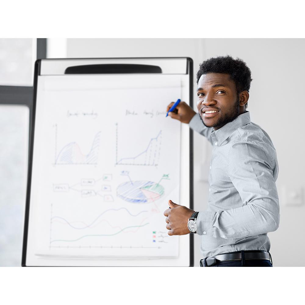 MasterVision Master Vision Dry Erase Easel MSC Industrial