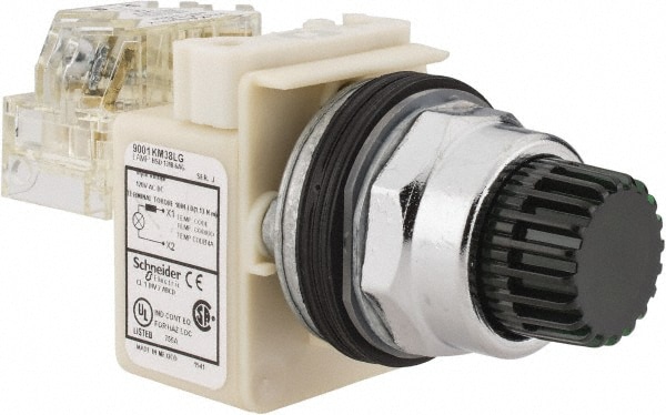 Square D 9001K2L38LGGH13 Push-Button Switch: 30 mm Mounting Hole Dia, Momentary (MO) Image