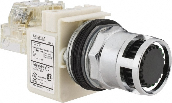 Square D 9001K3L38LGGH13 Push-Button Switch: 1.18" Mounting Hole Dia, Momentary (MO) Image