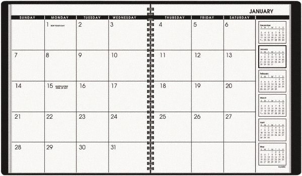 AT-A-GLANCE - Planner Appointment Book: 26 Sheets, Planner Ruled, White ...