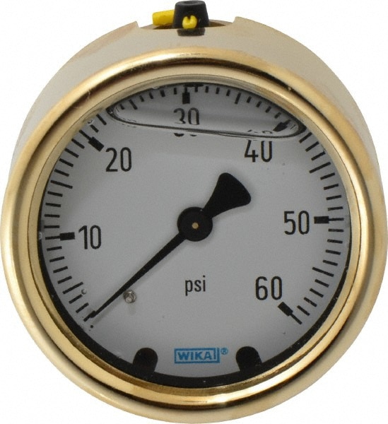 Wika 9318160 Pressure Gauge: 2-1/2" Dial, 0 to 60 psi, 1/4" Thread, NPT, Back Mount Image